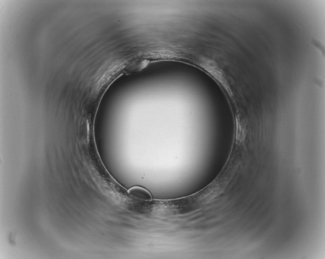 X0000100230109200805301421