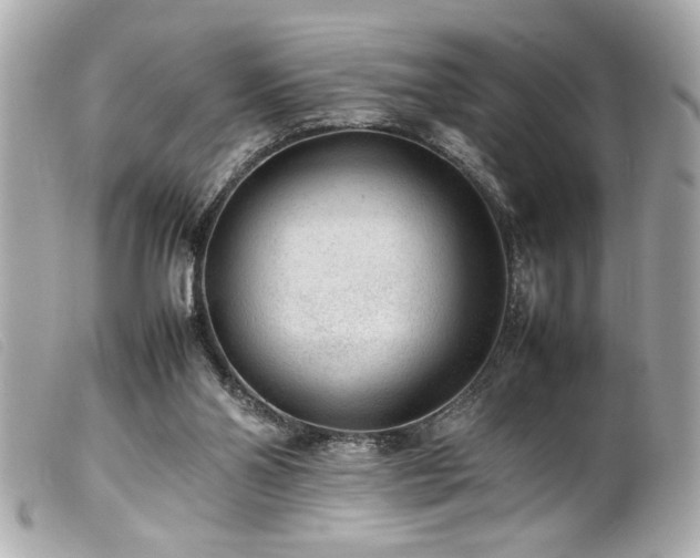 X0000100230110200805301421