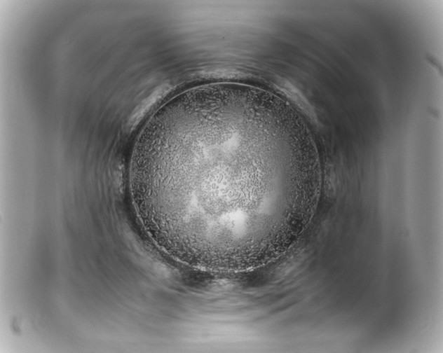 X0000100230111200805301421