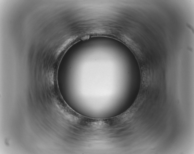 X0000100230112200805301421