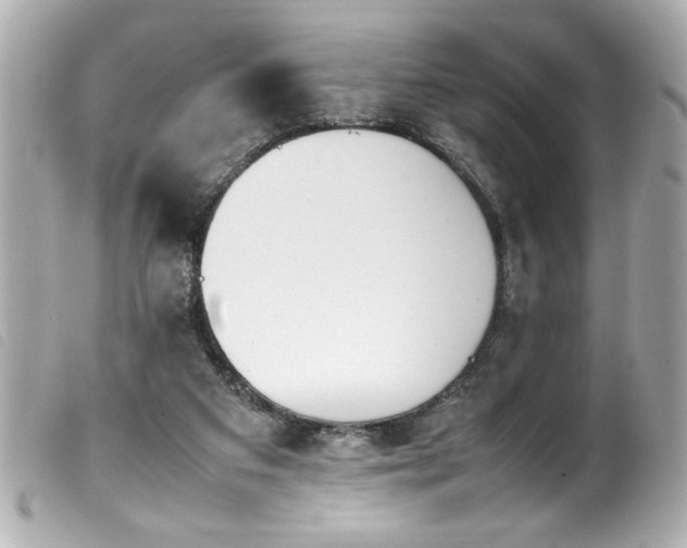 X0000100230113200805301421