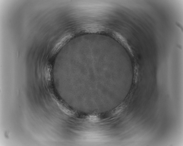 X0000100230114200805301421