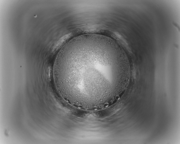 X0000100230115200805301421