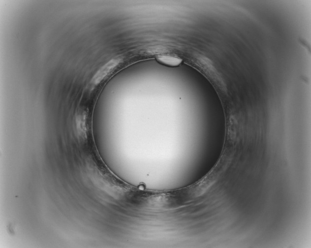 X0000100230116200805301421