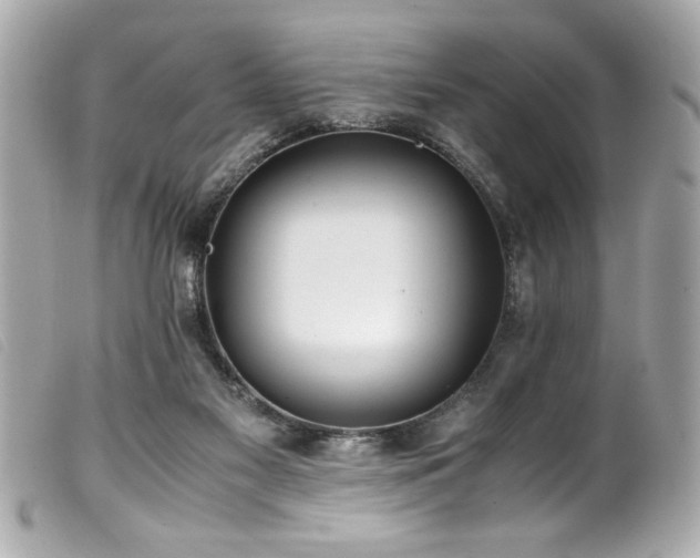 X0000100230117200805301421