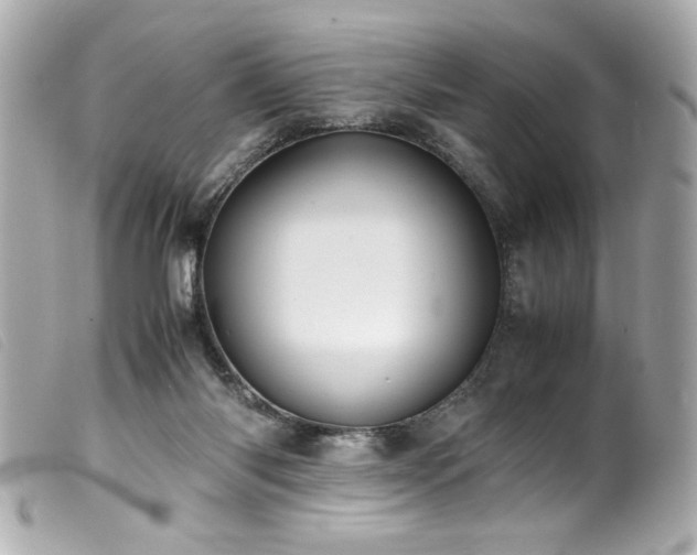 X0000100230118200805301421