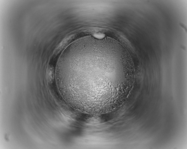 X0000100230119200805301421