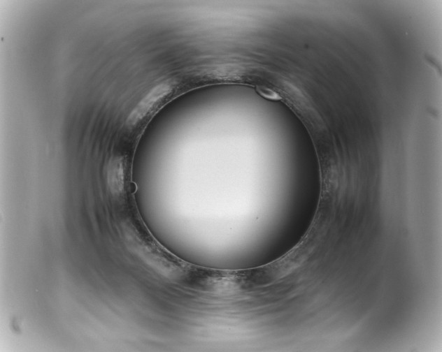 X0000100230120200805301421