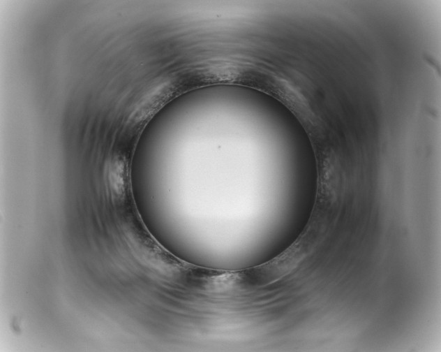 X0000100230122200805301420