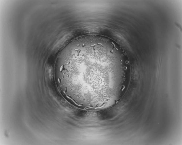 X0000100230123200805301420