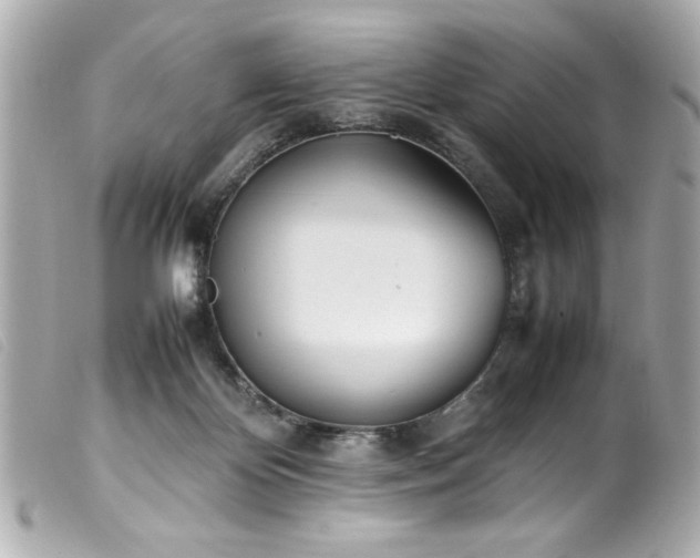 X0000100230124200805301420