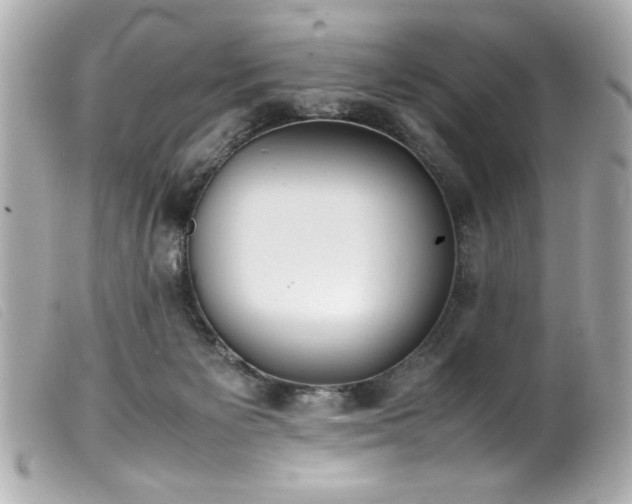 X0000100230125200805301420