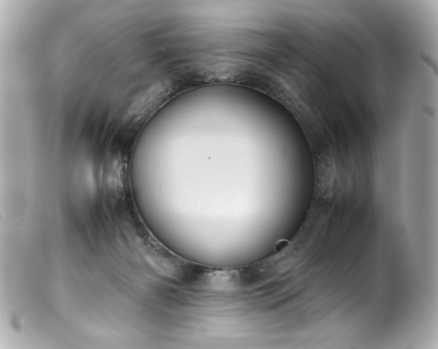 X0000100230126200805301420