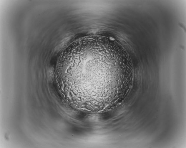 X0000100230127200805301420