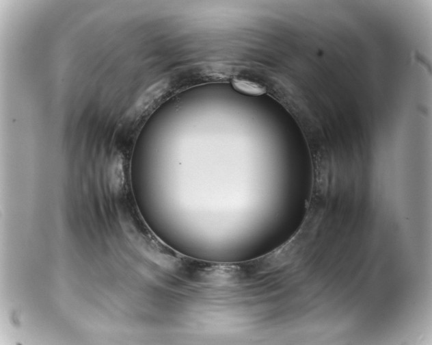 X0000100230128200805301420