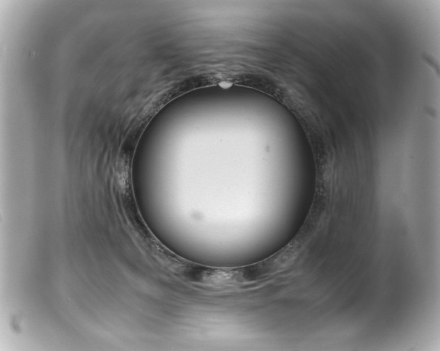 X0000100230129200805301420