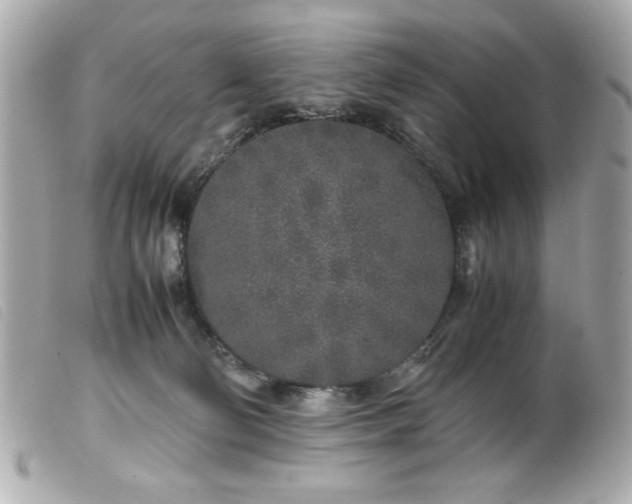 X0000100230130200805301420