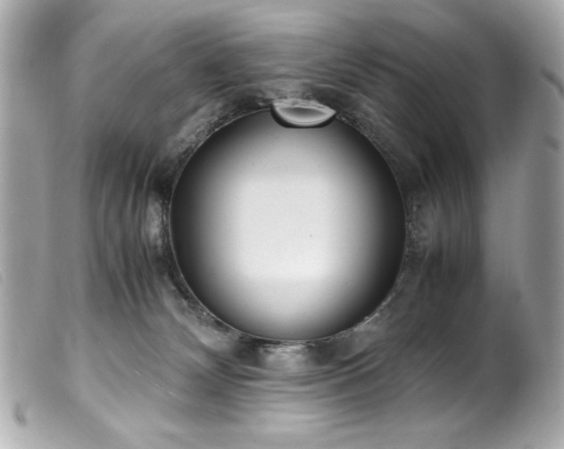 X0000100230132200805301420