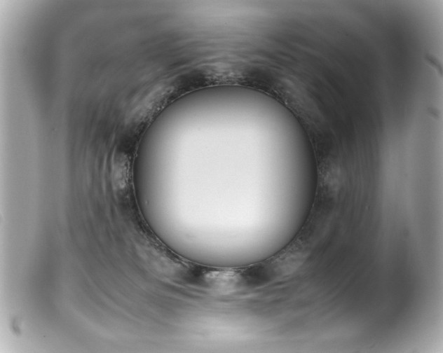 X0000100230133200805301420