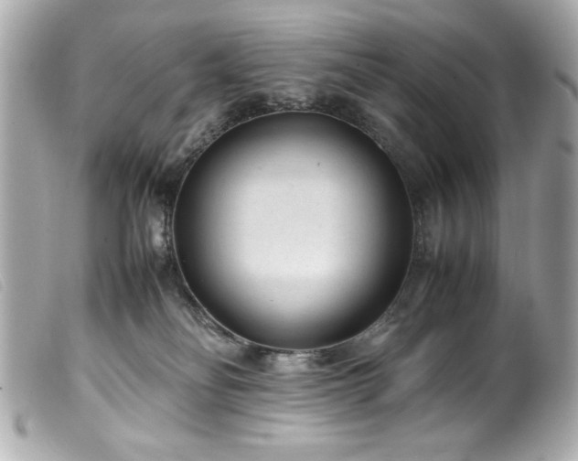 X0000100230134200805301420