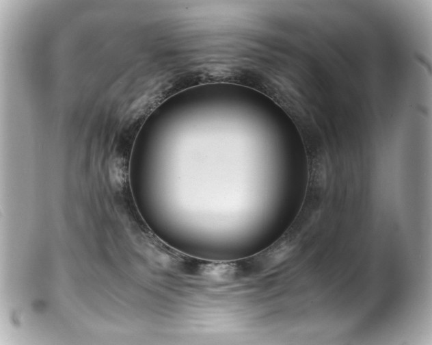 X0000100230135200805301420