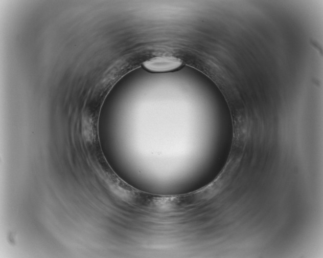 X0000100230136200805301420