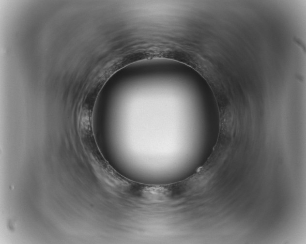 X0000100230137200805301420