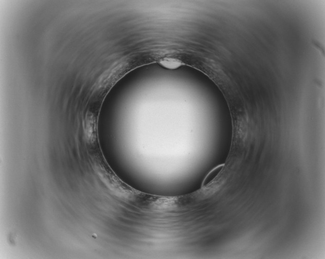 X0000100230138200805301420