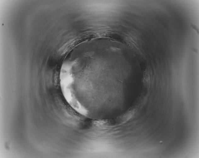 X0000100230139200805301420