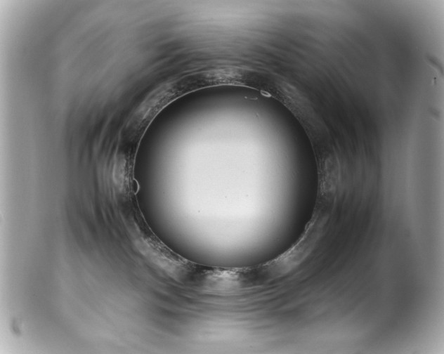 X0000100230140200805301420