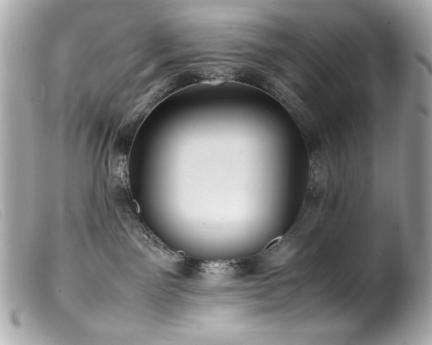 X0000100230141200805301420