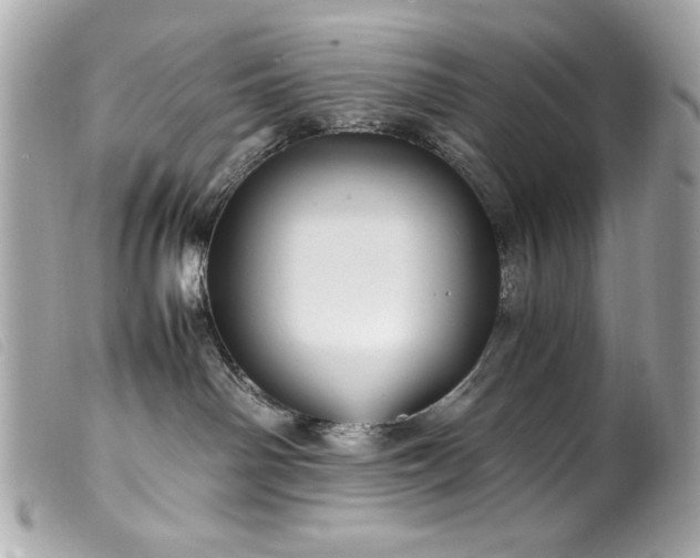 X0000100230142200805301420