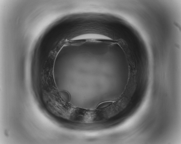 X0000100230143200805301420