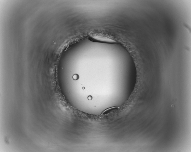 X0000100230144200805301420