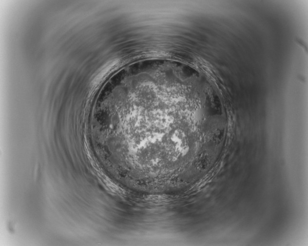 X0000100230145200805301420