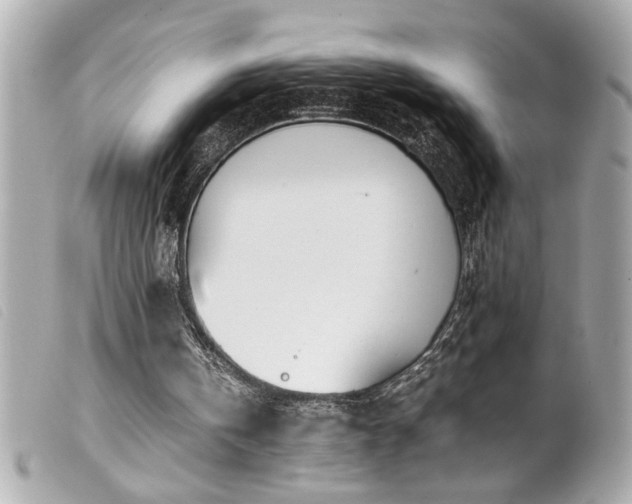 X0000100230146200805301420