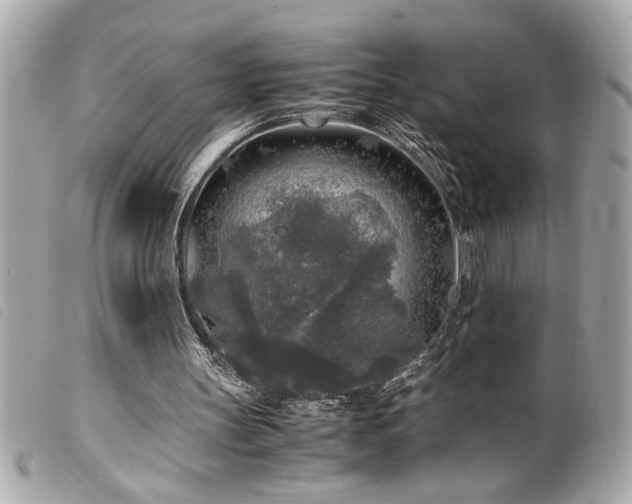 X0000100230147200805301420