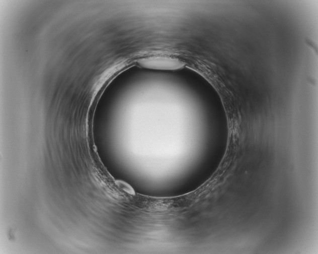 X0000100230148200805301420