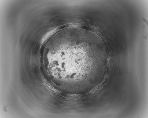 X0000100230149200805301420