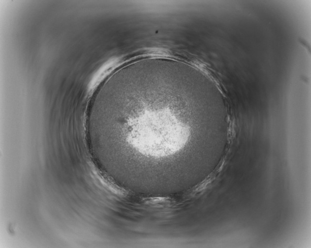 X0000100230151200805301420