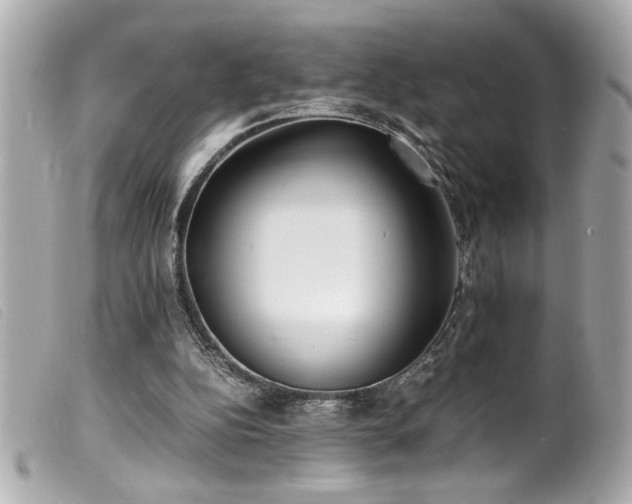 X0000100230152200805301420