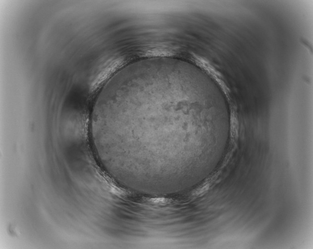 X0000100230153200805301420