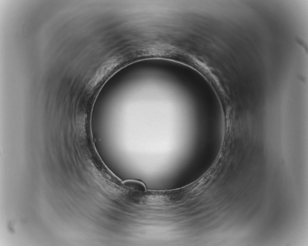 X0000100230154200805301420