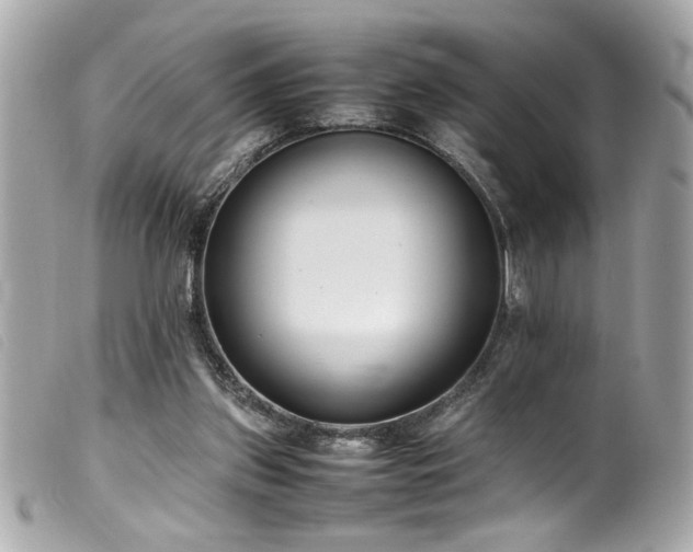 X0000100230157200805301420