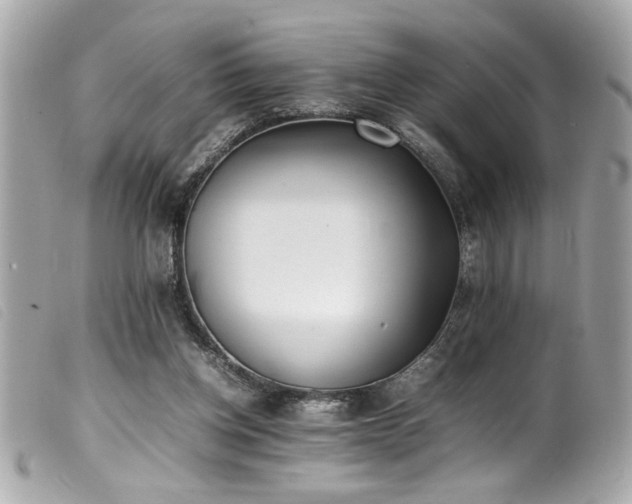 X0000100230158200805301420