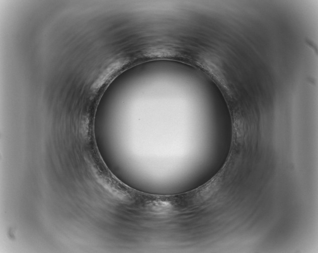 X0000100230159200805301420