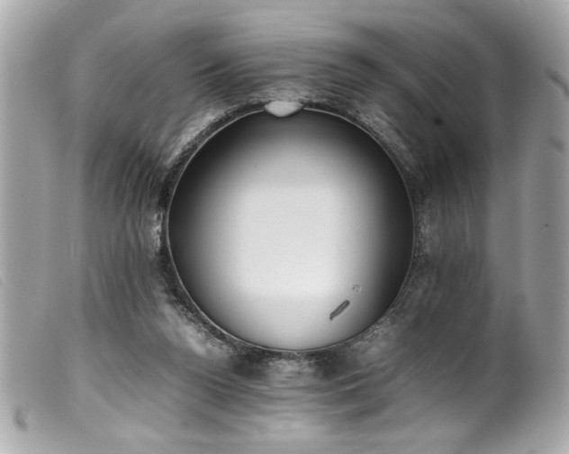 X0000100230160200805301420