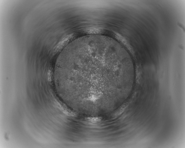 X0000100230161200805301420