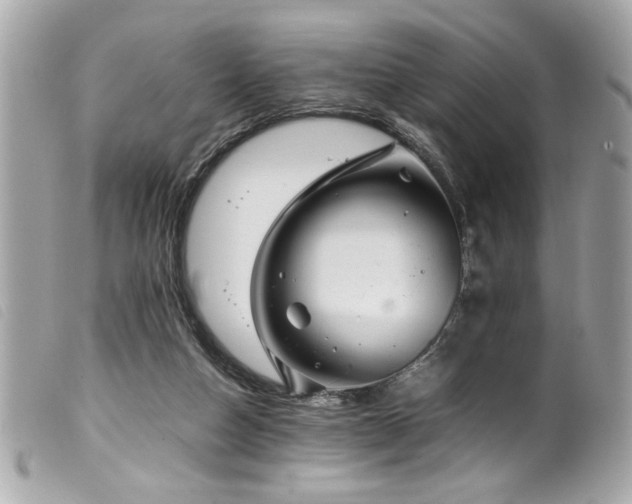 X0000100230162200805301420