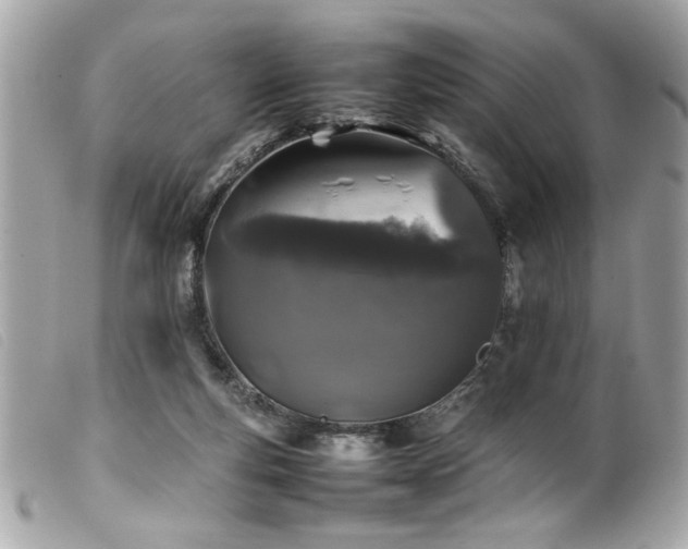 X0000100230163200805301420